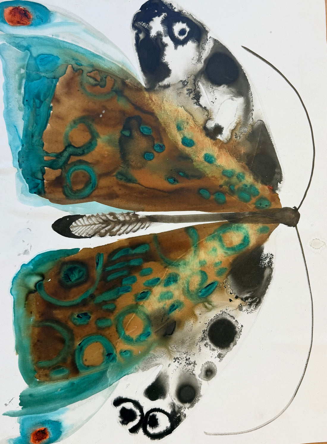 Teal Ring Moth