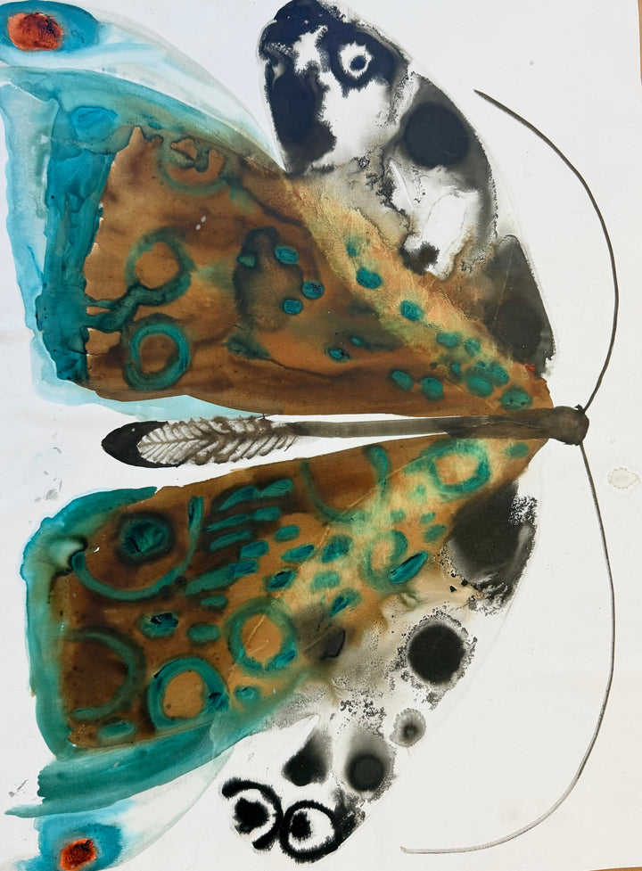 Teal Ring Moth