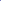 Blue pigeon