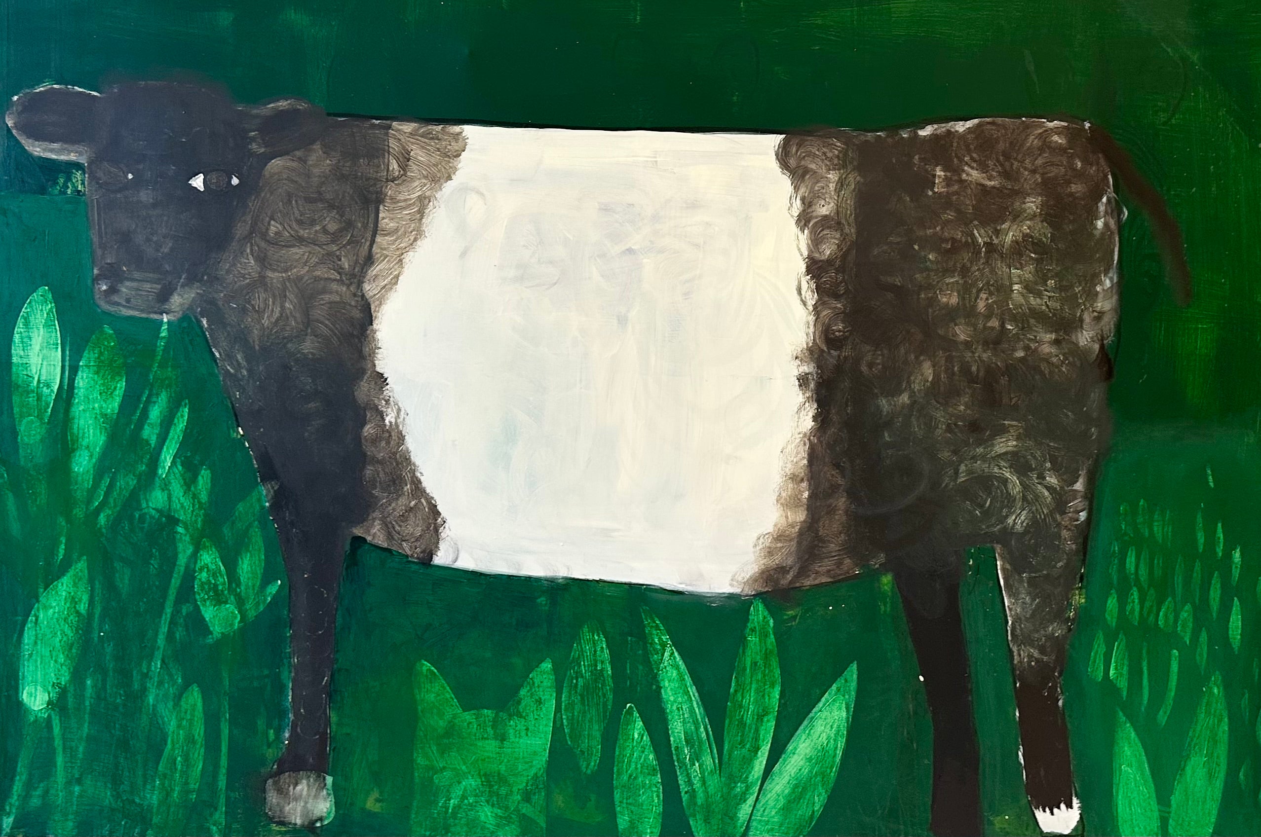 Craig the cow stands in a green field