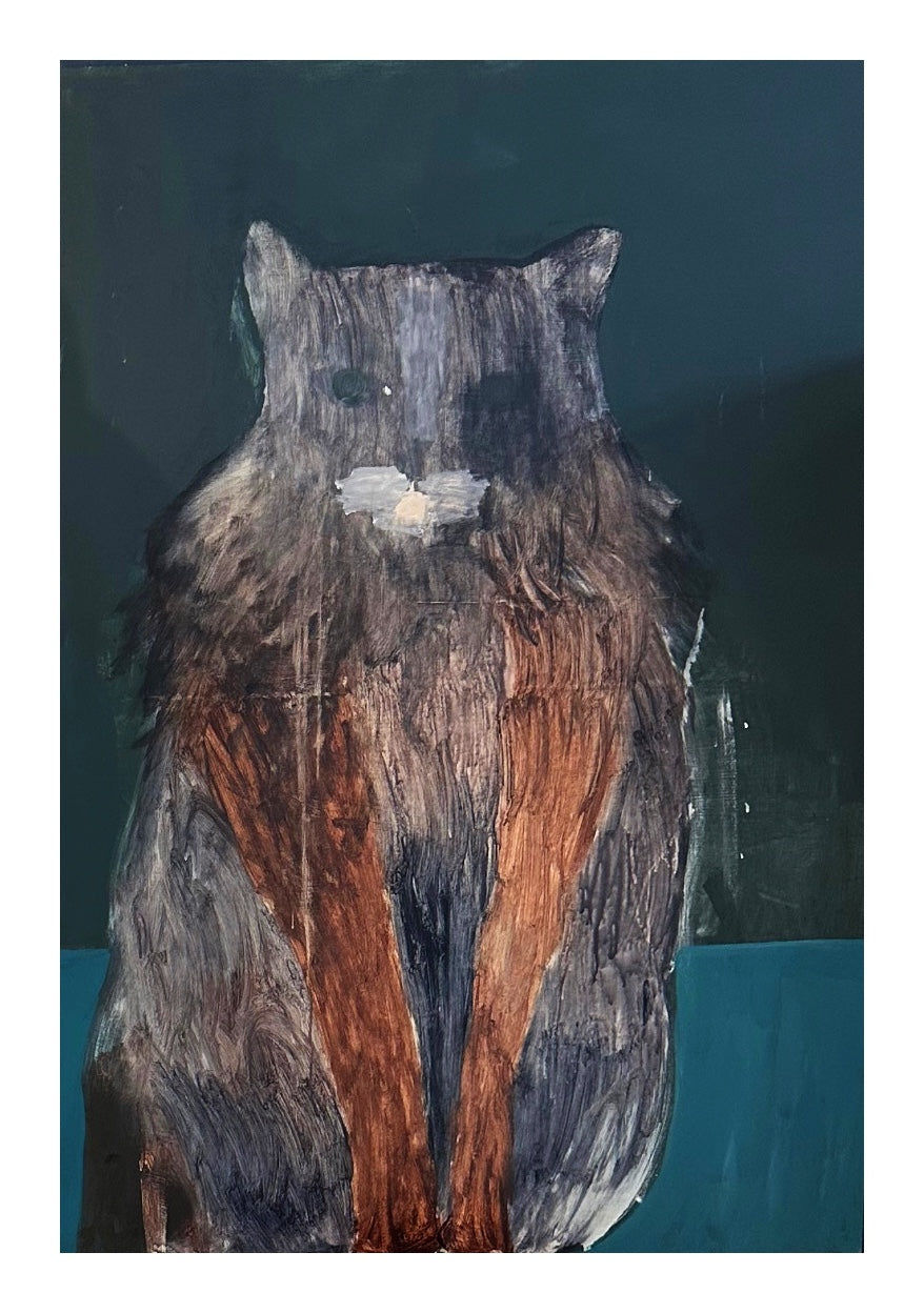 Large dark kitty