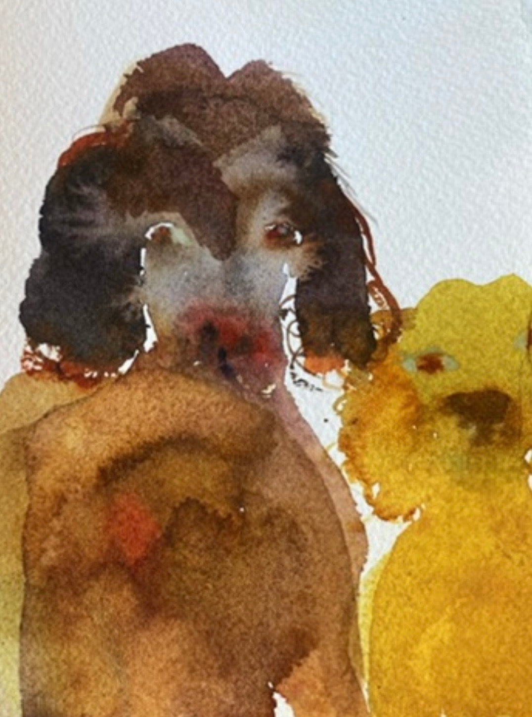 Custom Pet Portrait