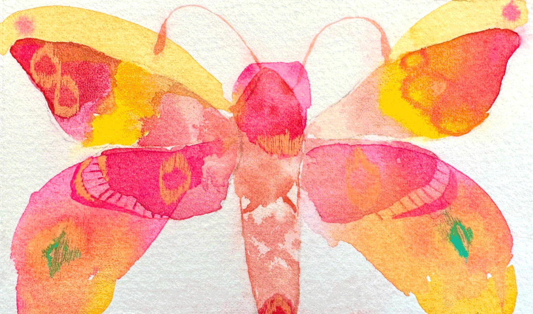 Butterfly Watercolour Series – 4-Week Online Course